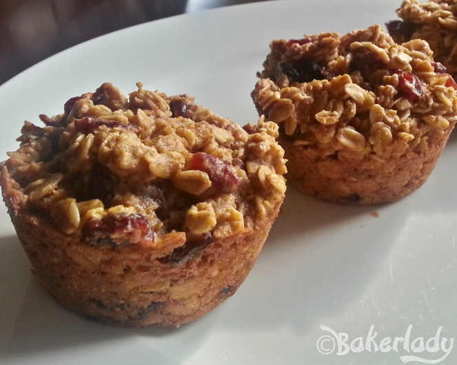 Oatmeal to go Pumpkin Cranberry Muffins - Bakerlady