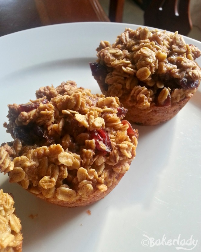 Oatmeal to go Pumpkin Cranberry Muffins - Bakerlady